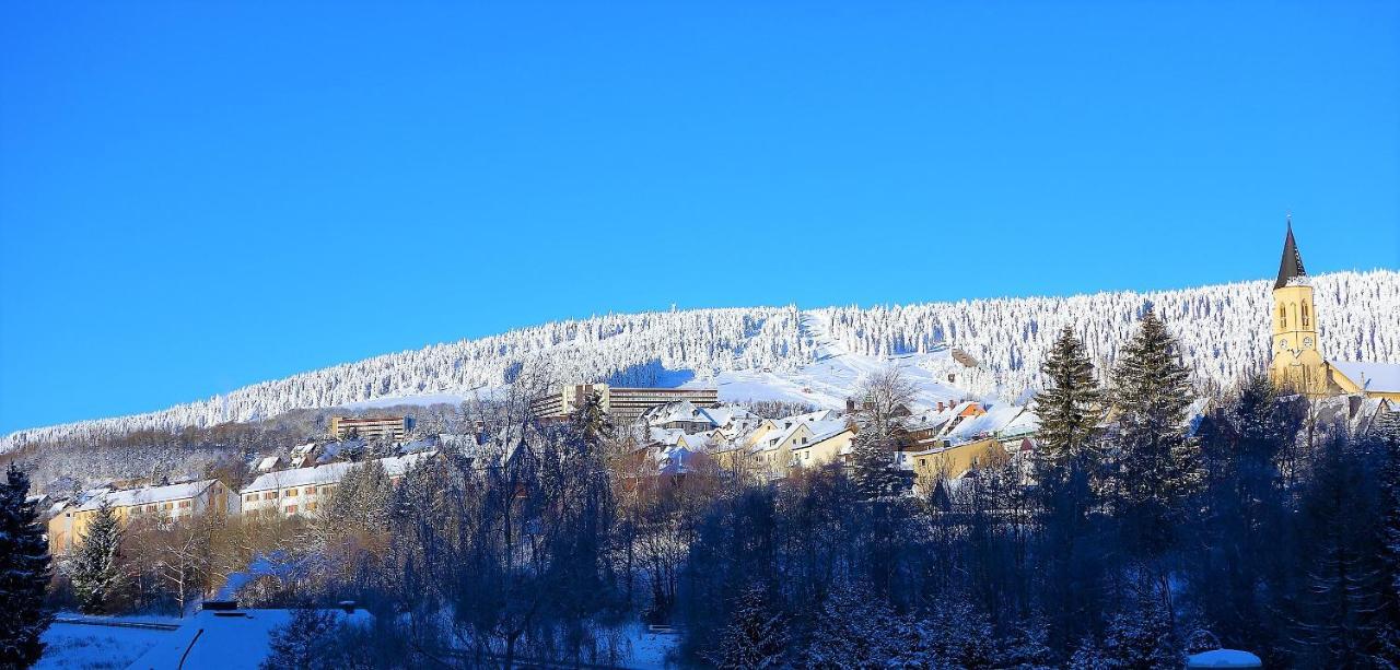 Hillside No. 18 Lejlighed Loučná pod Klínovcem Eksteriør billede